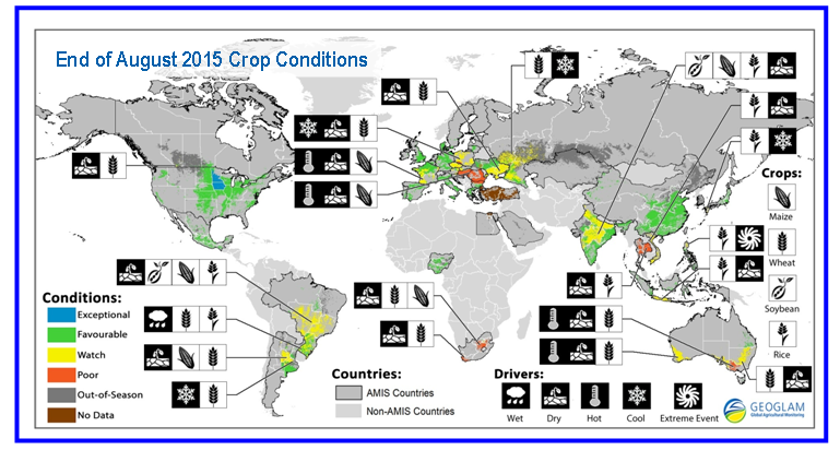 读图时代 全球作物.png